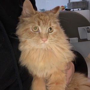 Meet your Posher, Marissa